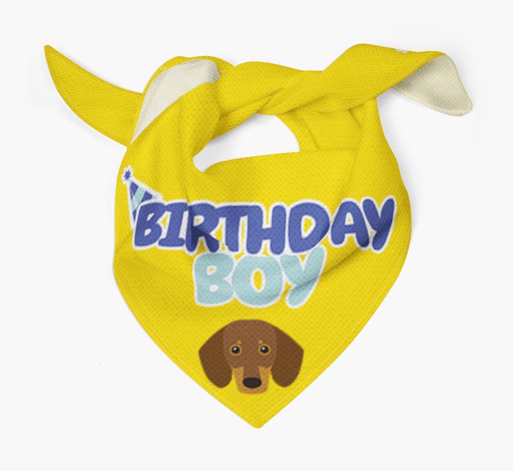 Birthday Boy : Personalised {breedFullName} Bandana