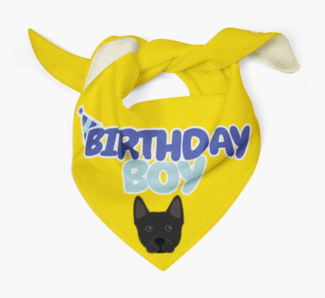 Birthday Boy : Personalised {breedFullName} Bandana