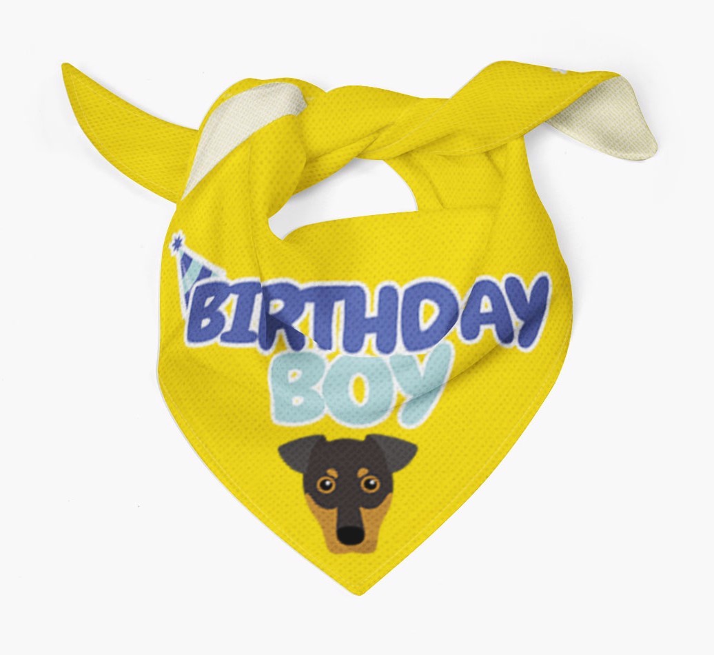 Birthday Boy : Personalised {breedFullName} Bandana