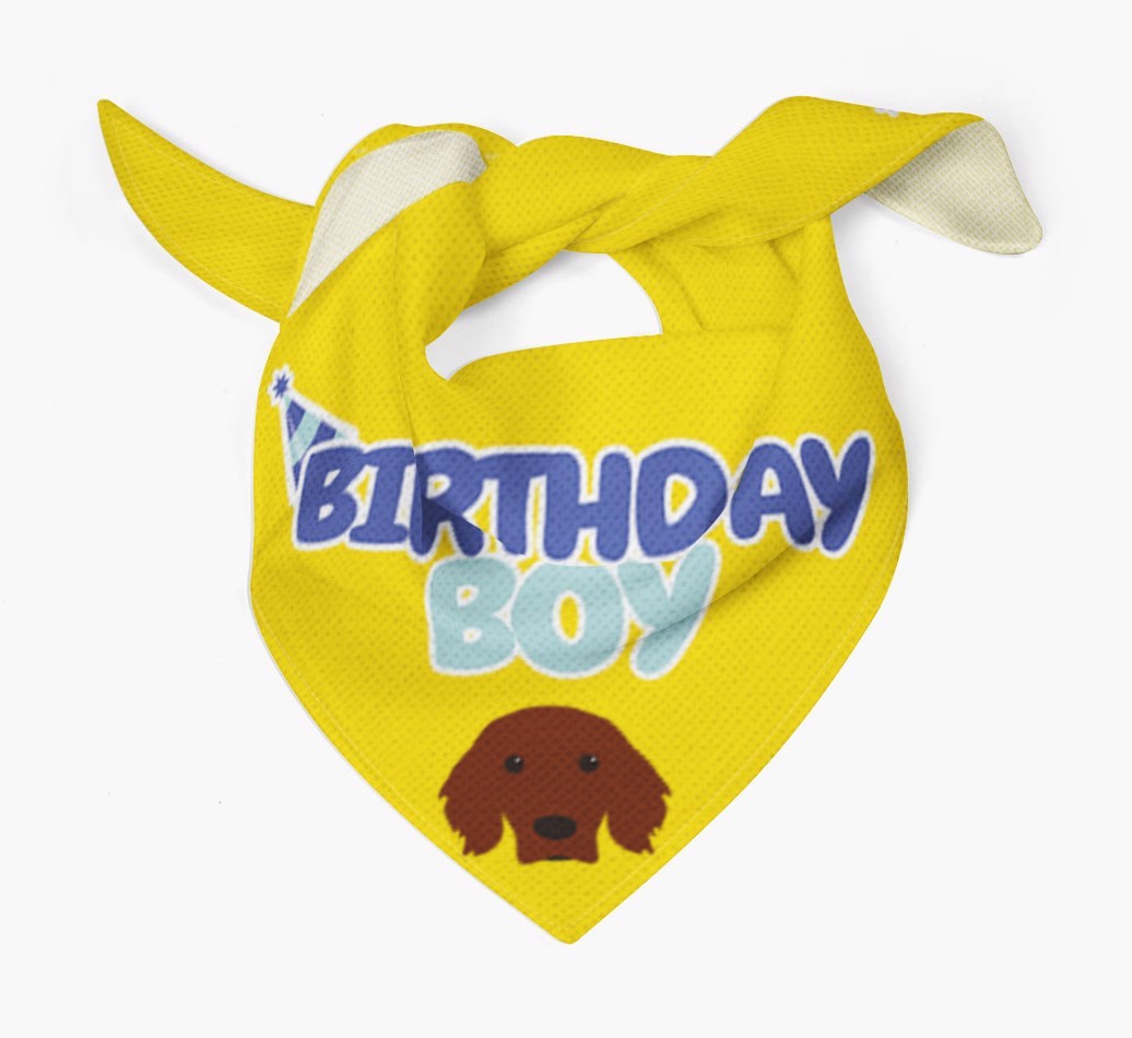 Birthday Boy : Personalised {breedFullName} Bandana