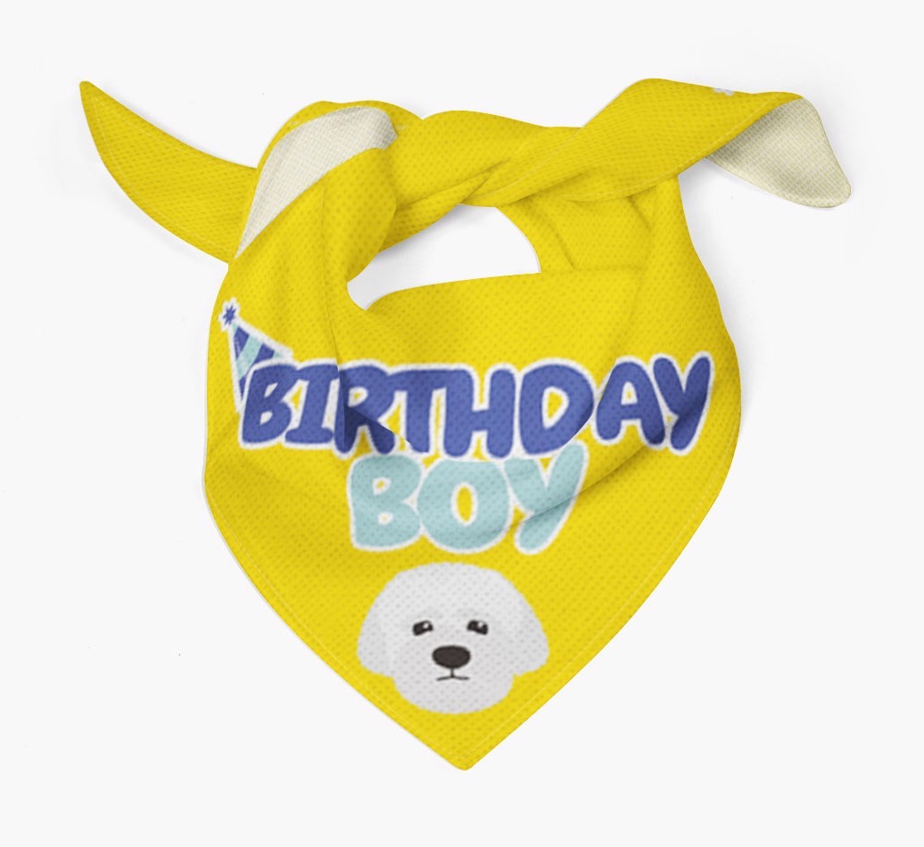 Birthday Boy : Personalised {breedFullName} Bandana