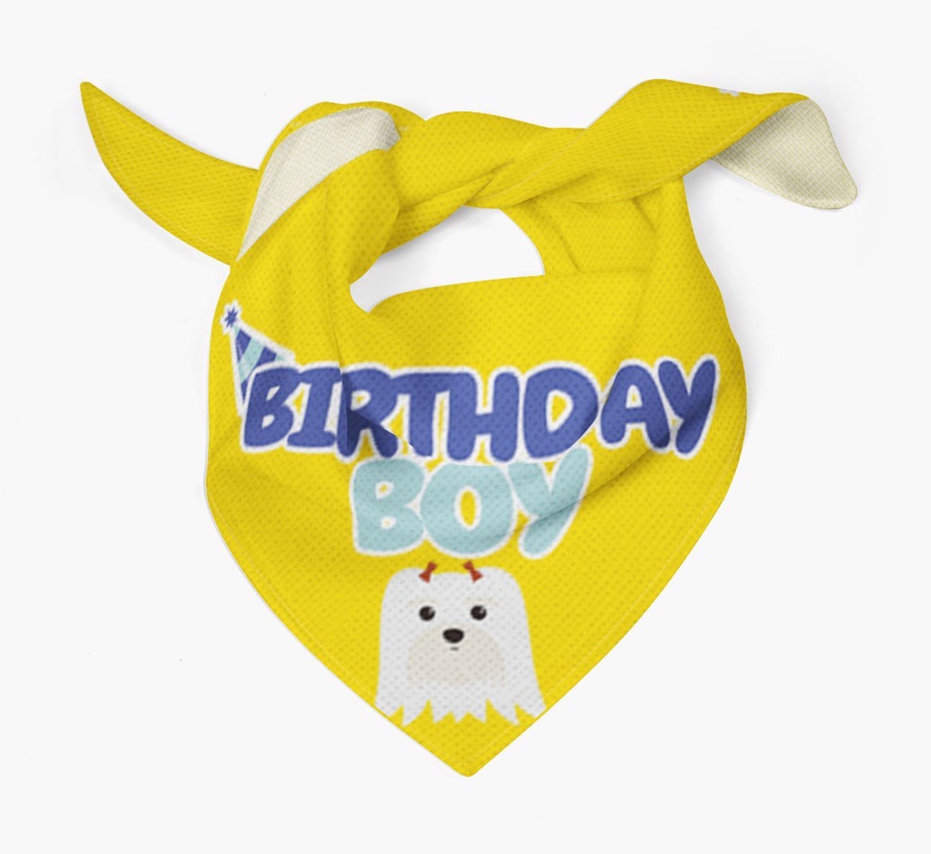 Birthday Boy : Personalised {breedFullName} Bandana