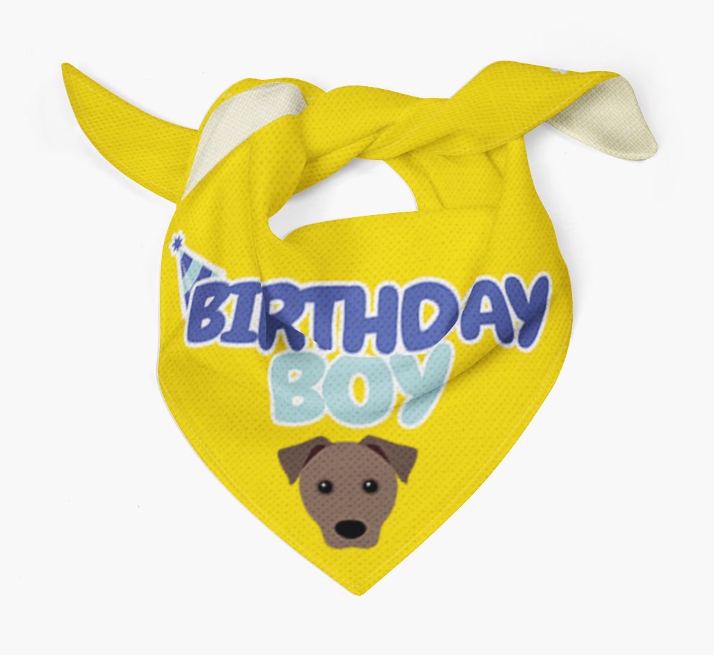 Birthday Boy : Personalised {breedFullName} Bandana