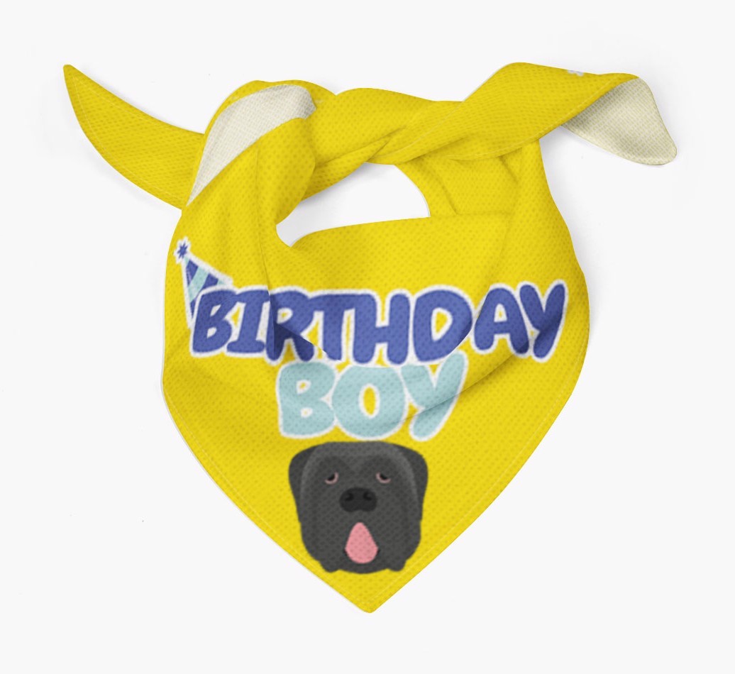 Birthday Boy : Personalized {breedFullName} Bandana