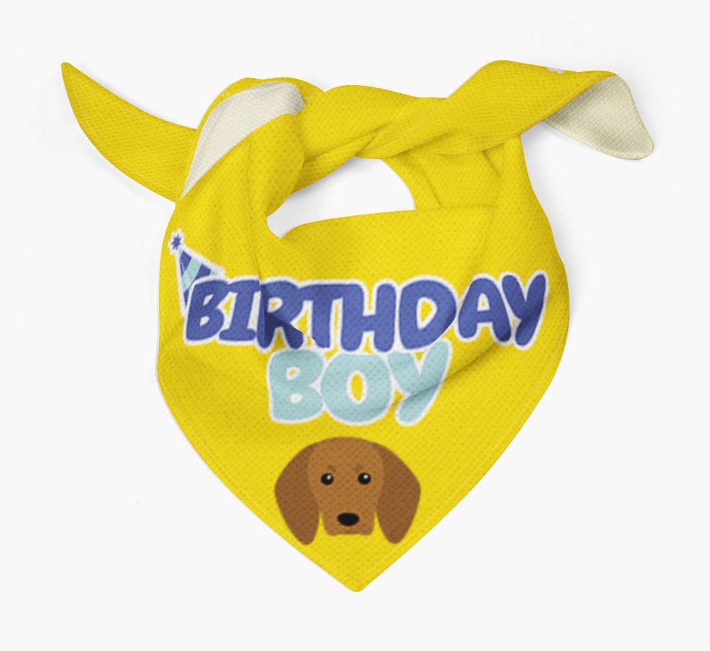 Birthday Boy : Personalised {breedFullName} Bandana