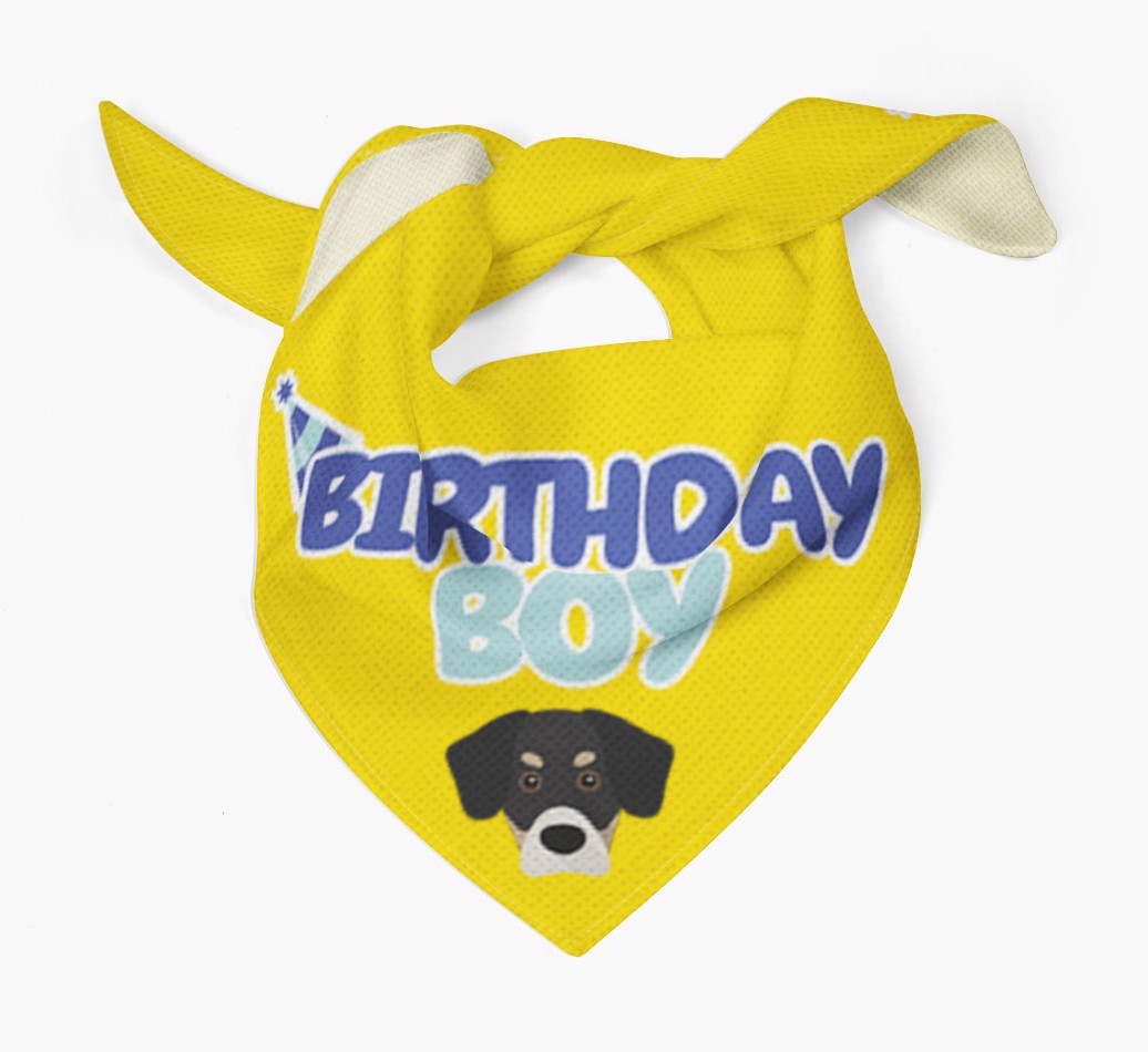 Birthday Boy : Personalised {breedFullName} Bandana