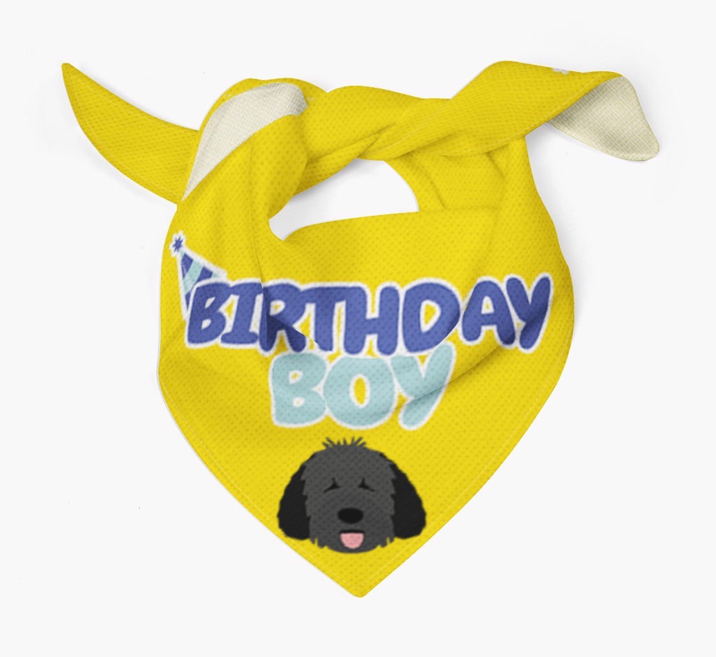 Birthday Boy : Personalised {breedFullName} Bandana