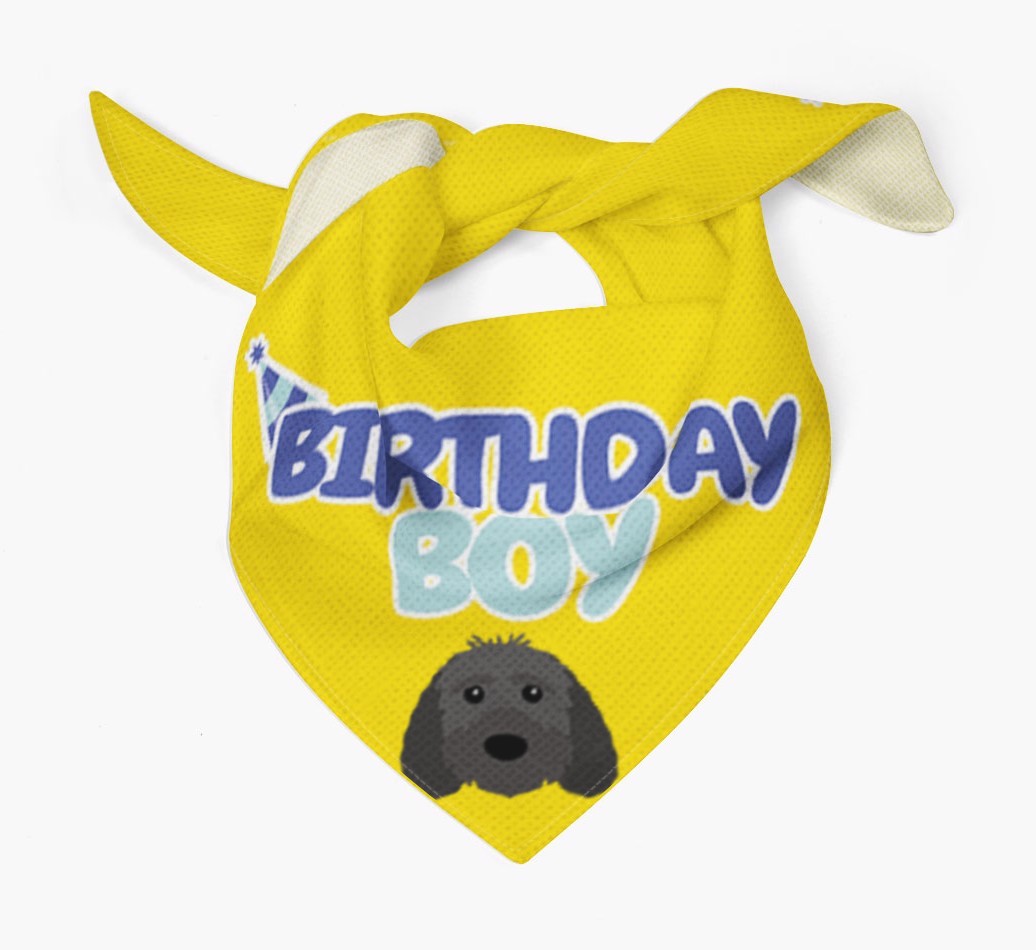 Birthday Boy : Personalised {breedFullName} Bandana