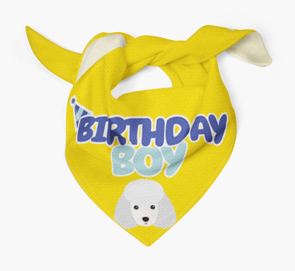 Birthday Boy : Personalised {breedFullName} Bandana