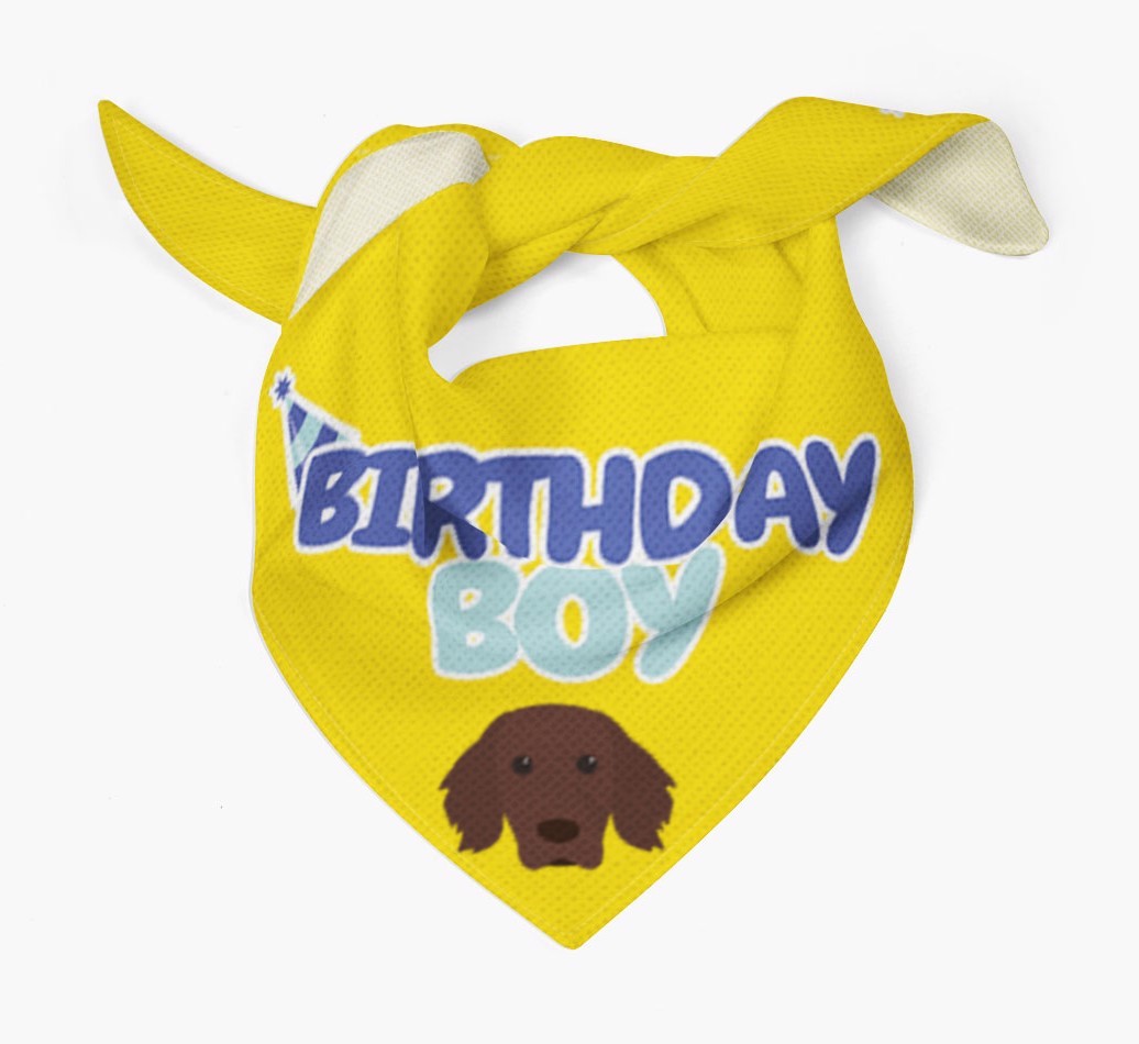 Birthday Boy : Personalised {breedFullName} Bandana