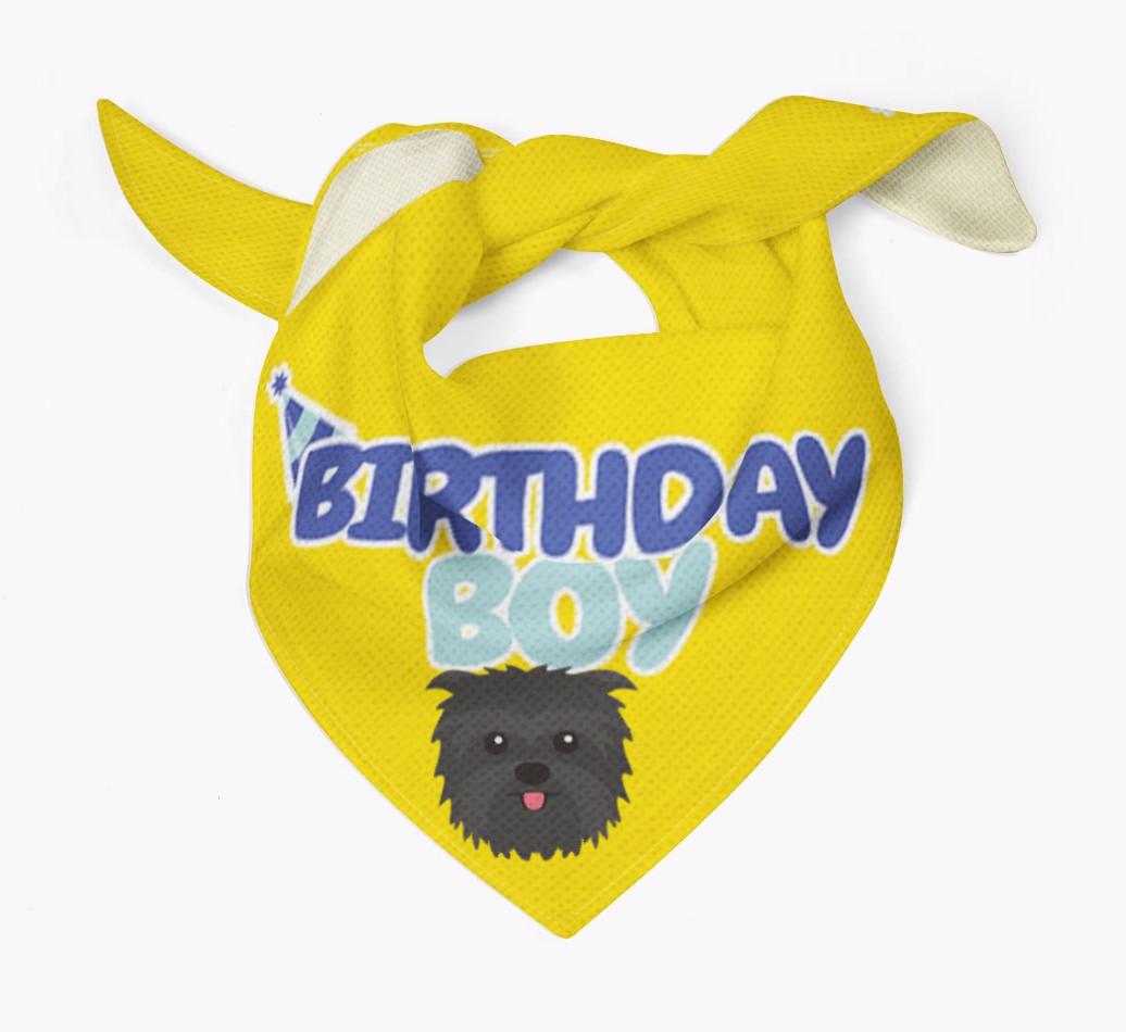 Birthday Boy : Personalized {breedFullName} Bandana