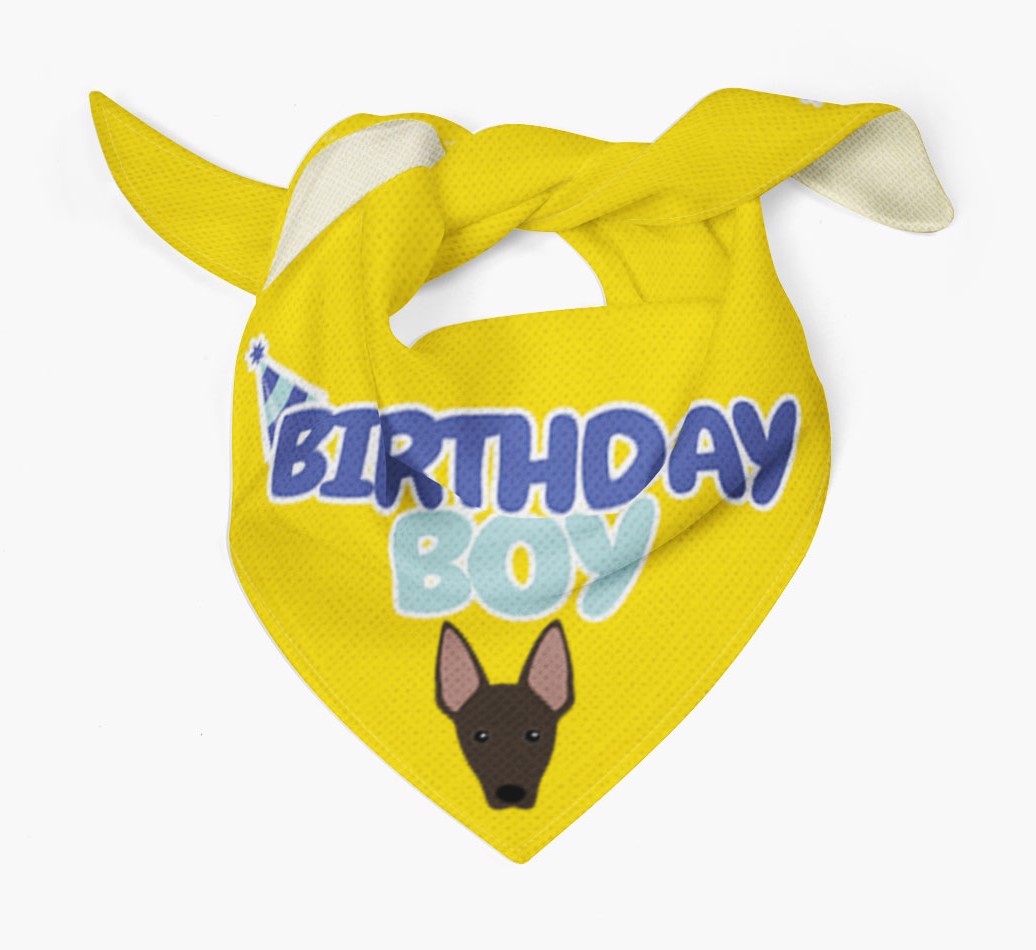 Birthday Boy : Personalized {breedFullName} Bandana