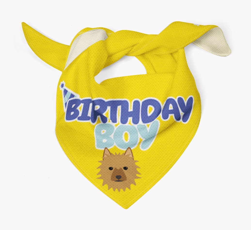 Birthday Boy : Personalized {breedFullName} Bandana