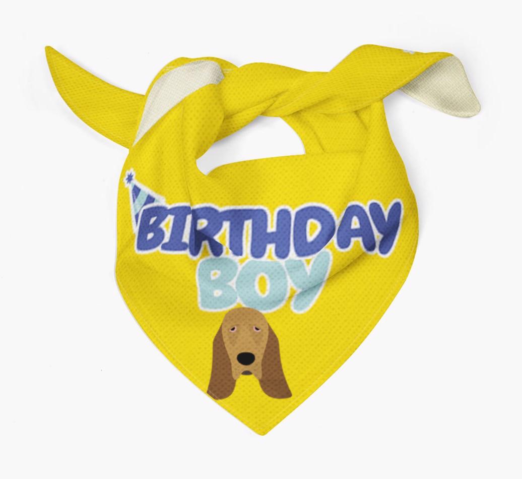 Birthday Boy : Personalized {breedFullName} Bandana