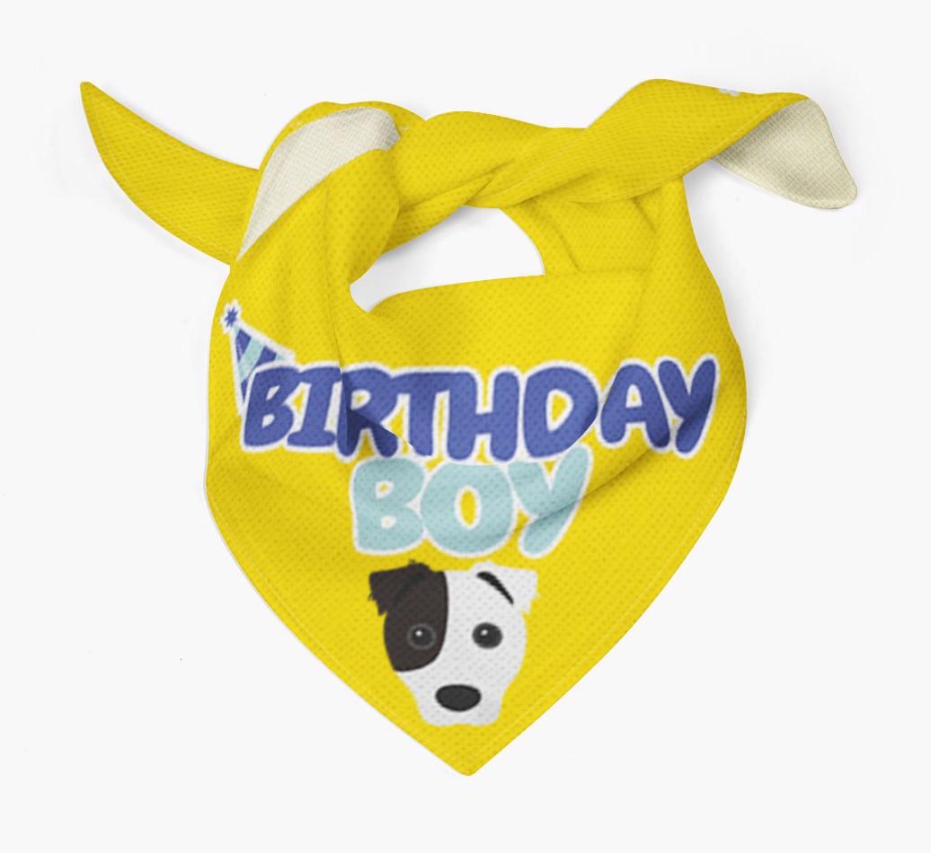 Birthday Boy : Personalized {breedFullName} Bandana