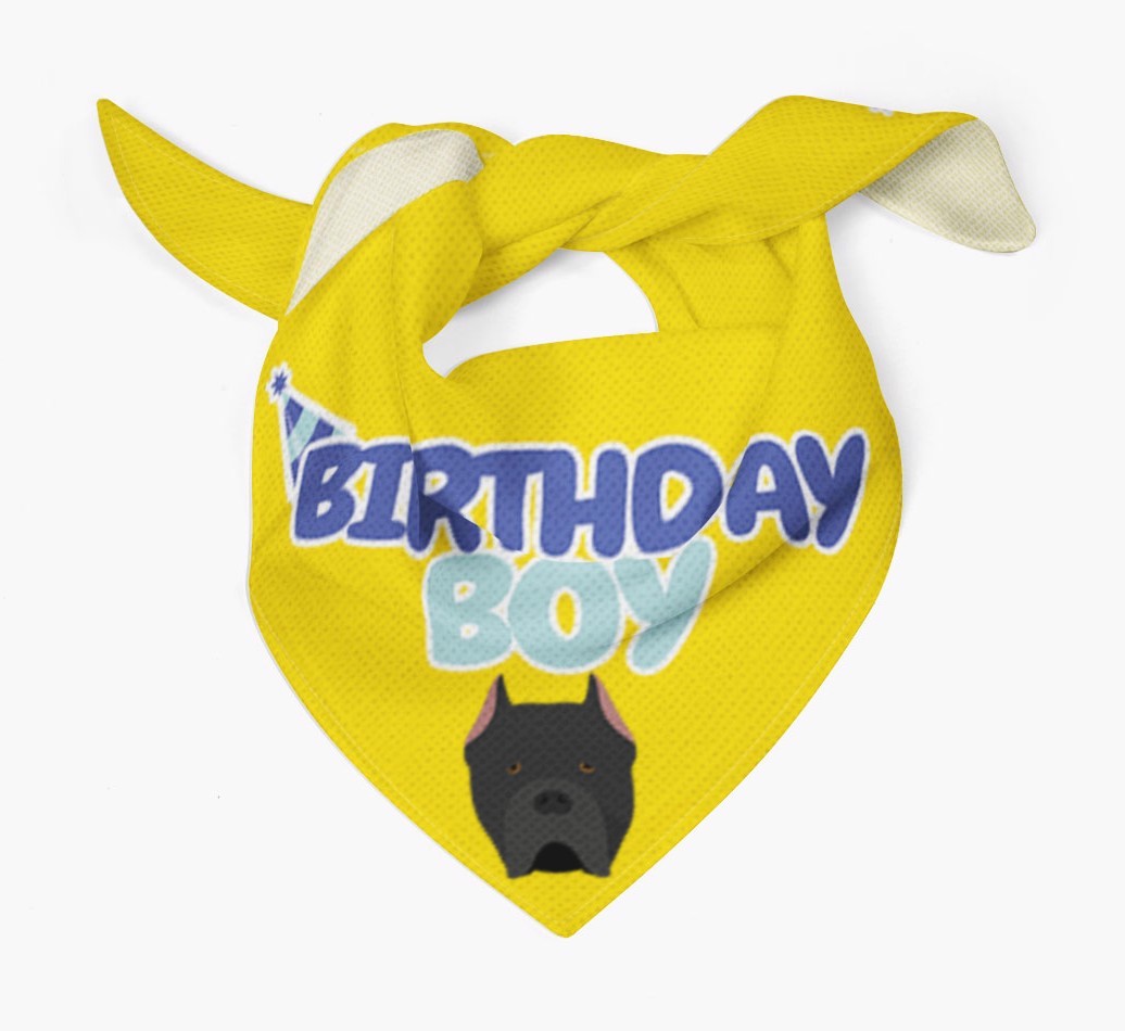 Birthday Boy : Personalized {breedFullName} Bandana