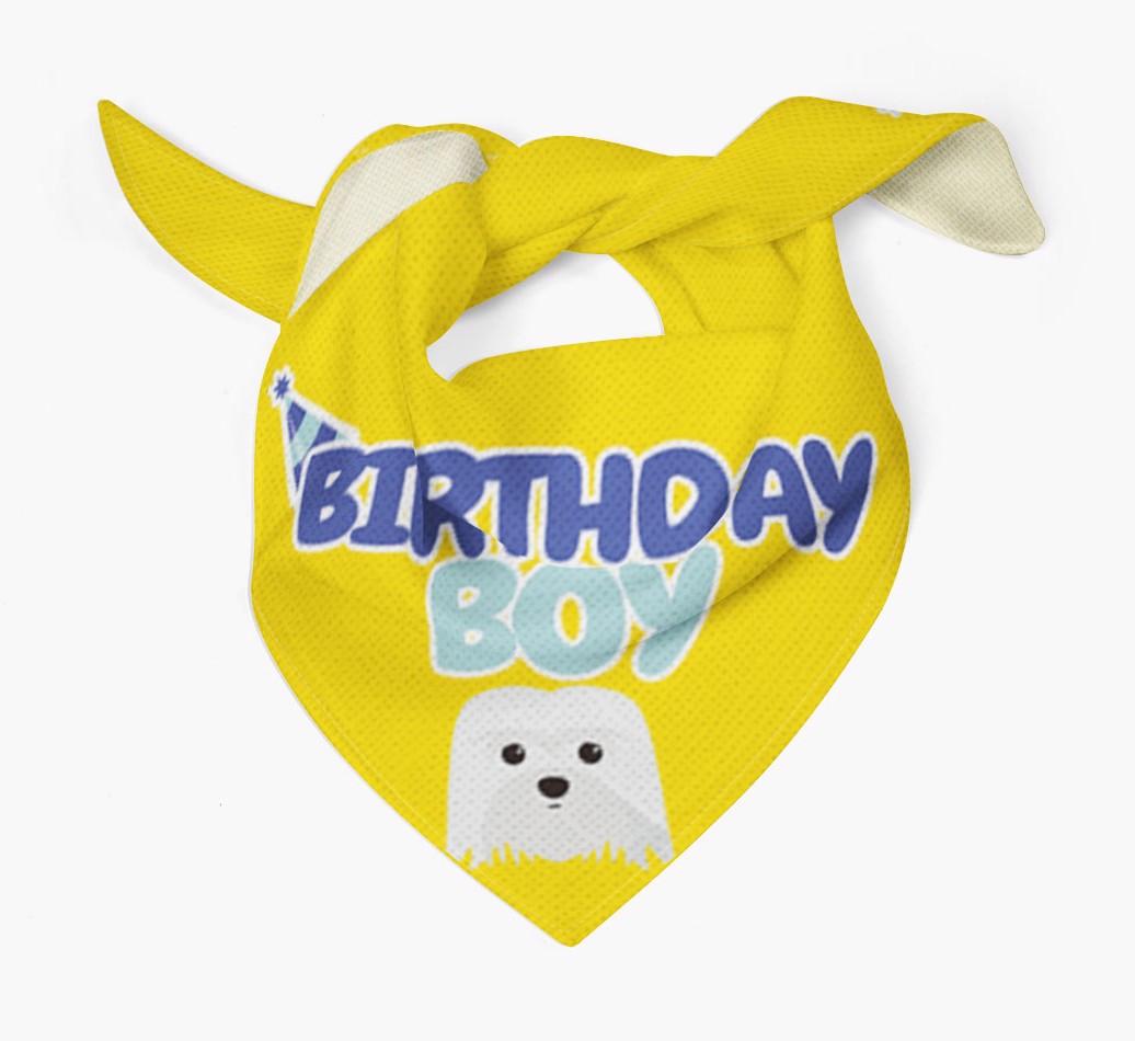 Birthday Boy : Personalized {breedFullName} Bandana
