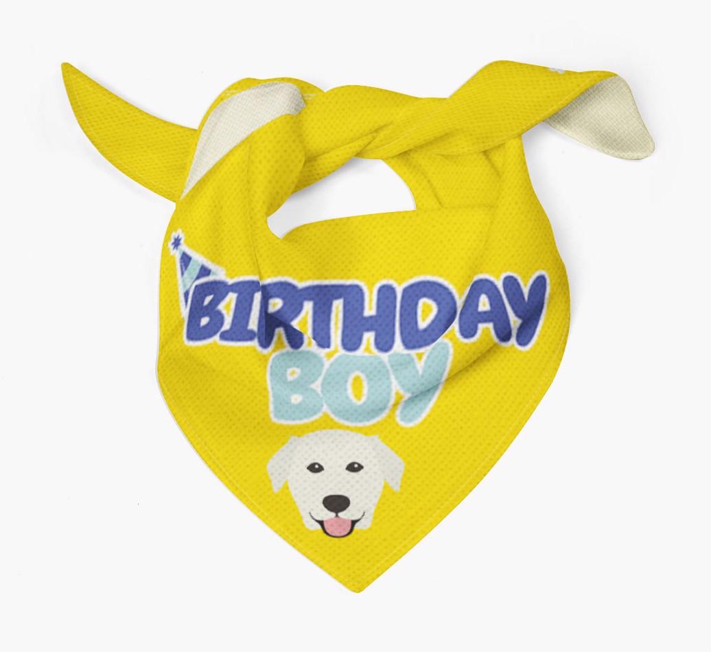 Birthday Boy : Personalized {breedFullName} Bandana