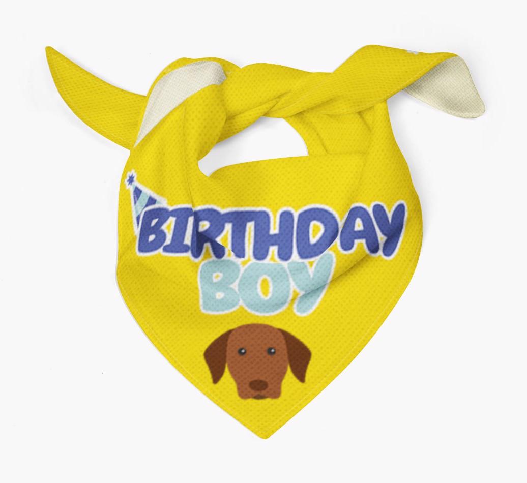 Birthday Boy : Personalised {breedFullName} Bandana