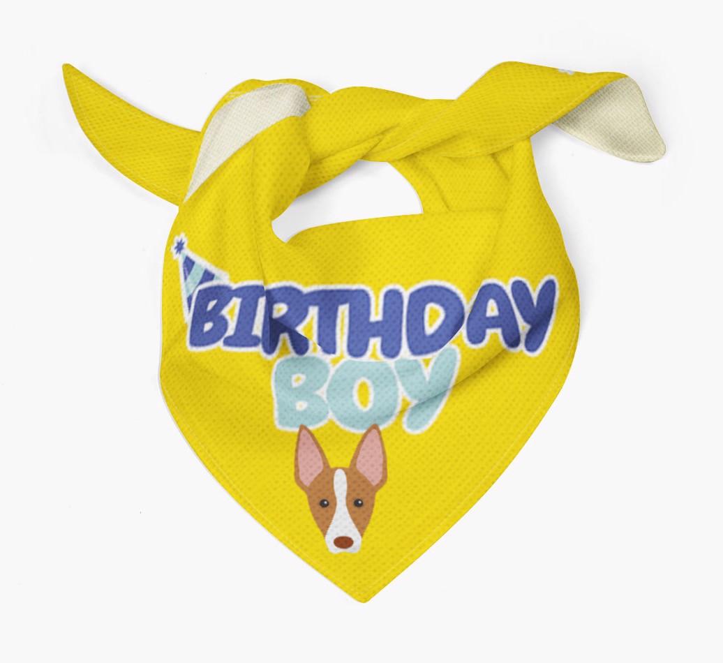 Birthday Boy : Personalized {breedFullName} Bandana