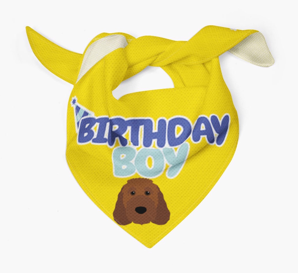 Birthday Boy : Personalized {breedFullName} Bandana
