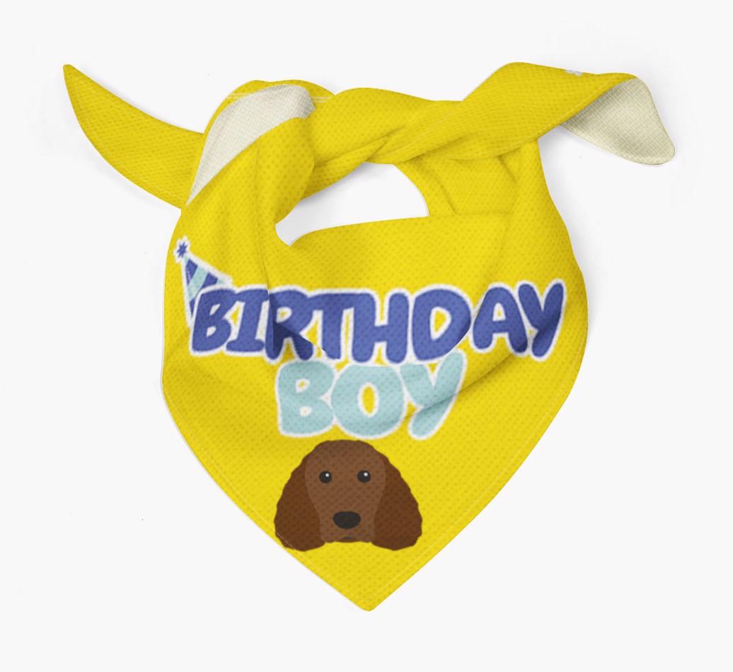 Birthday Boy : Personalized {breedFullName} Bandana