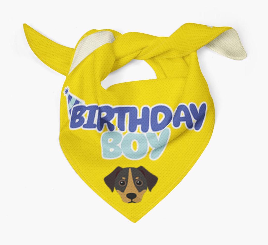Birthday Boy : Personalized {breedFullName} Bandana