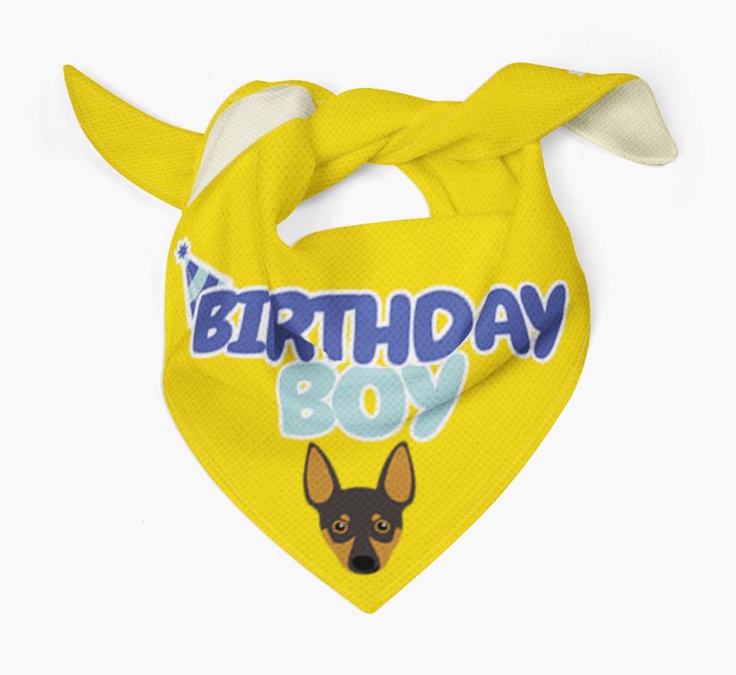 Birthday Boy : Personalized {breedFullName} Bandana