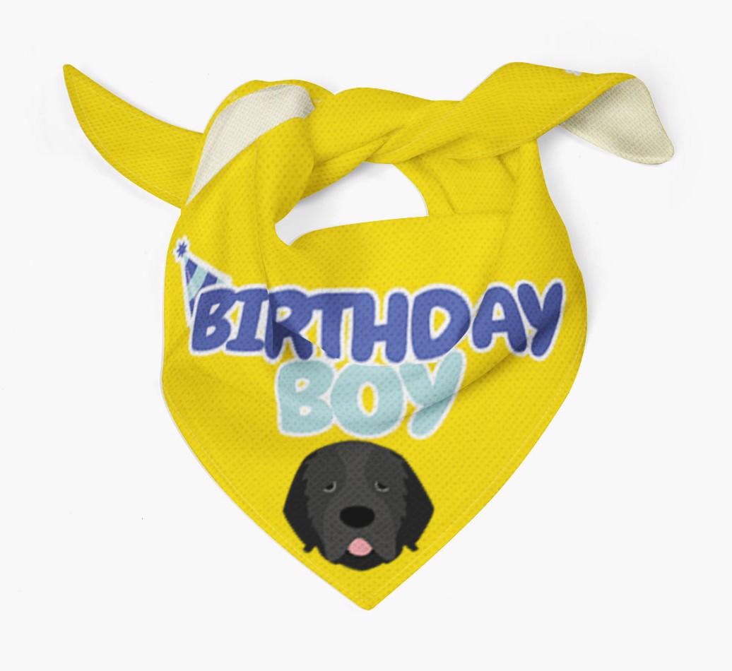 Birthday Boy : Personalized {breedFullName} Bandana