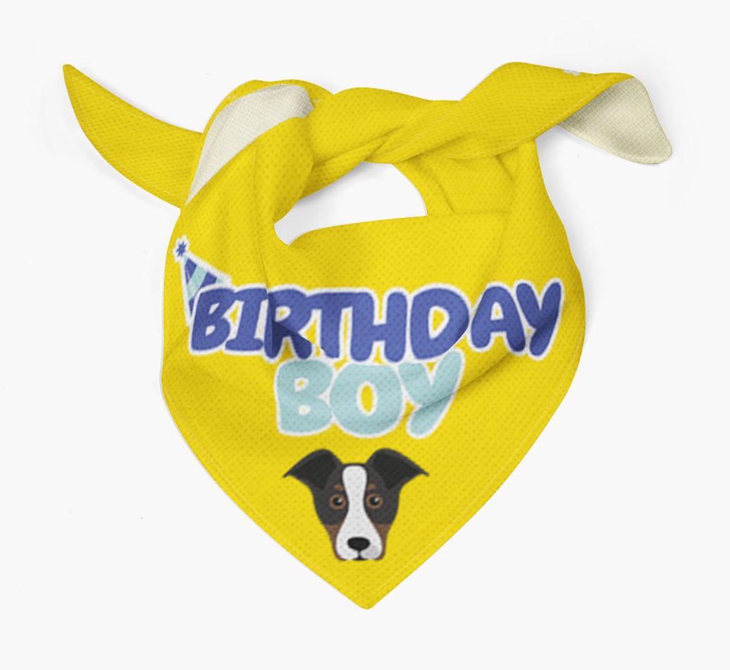 Birthday Boy : Personalized {breedFullName} Bandana