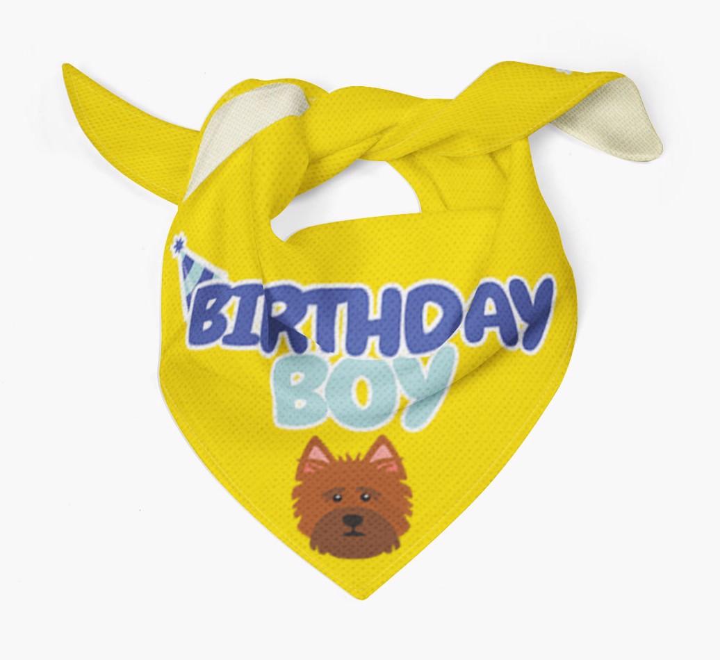 Birthday Boy : Personalized {breedFullName} Bandana