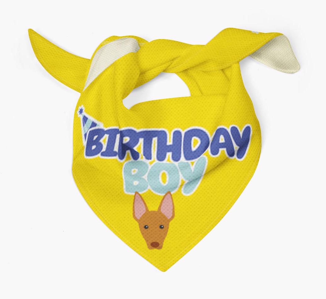 Birthday Boy : Personalised {breedFullName} Bandana