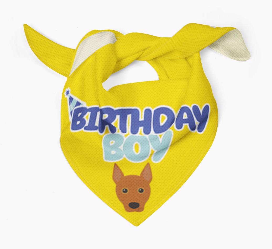 Birthday Boy : Personalized {breedFullName} Bandana