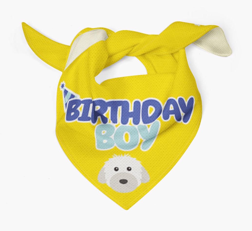 Birthday Boy : Personalized {breedFullName} Bandana