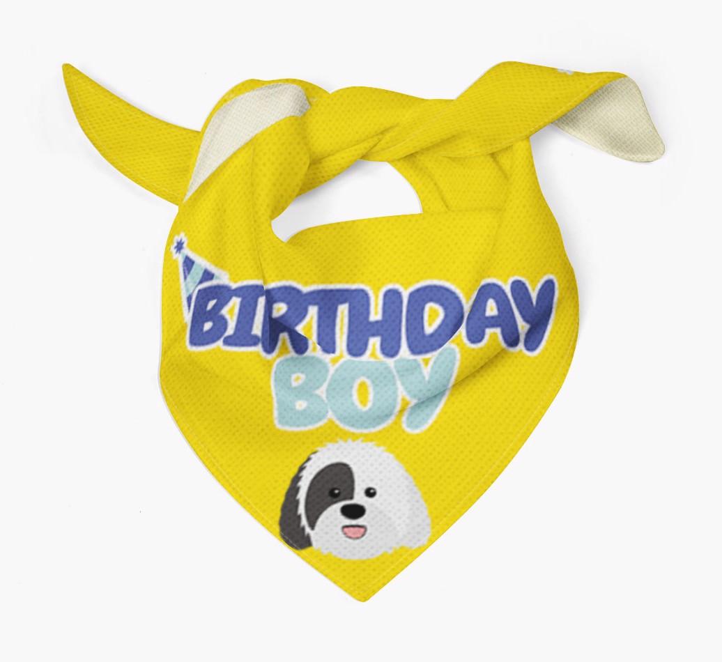 Birthday Boy : Personalized {breedFullName} Bandana