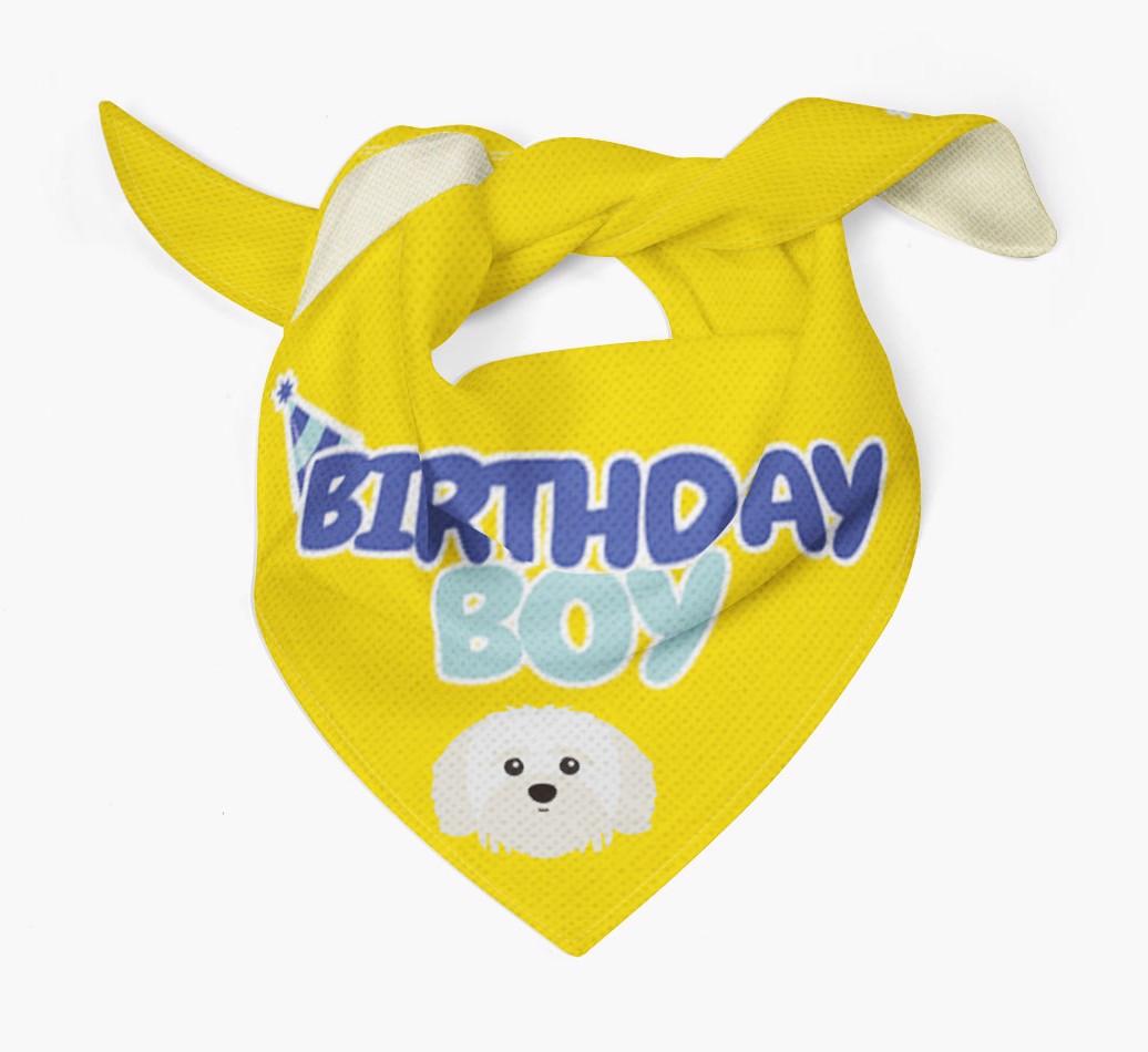 Birthday Boy : Personalized {breedFullName} Bandana