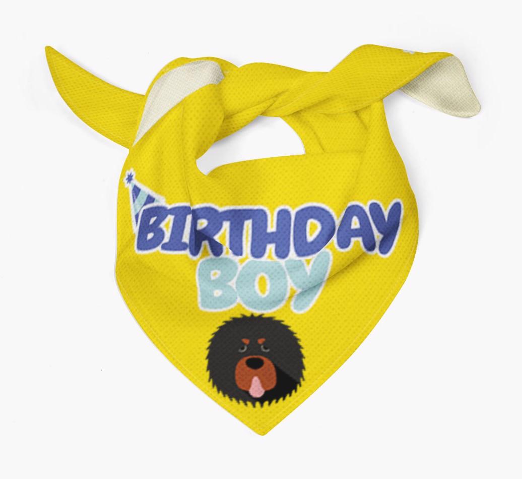 Birthday Boy : Personalized {breedFullName} Bandana