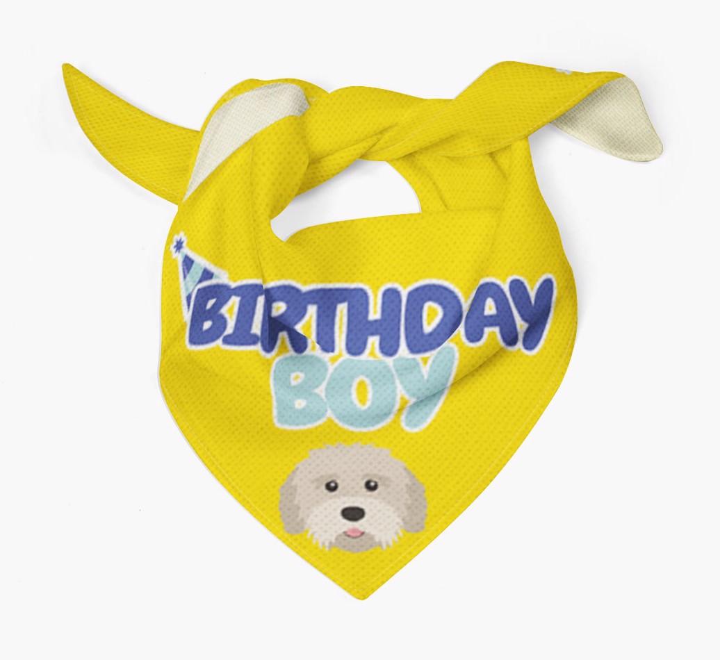 Birthday Boy : Personalized {breedFullName} Bandana