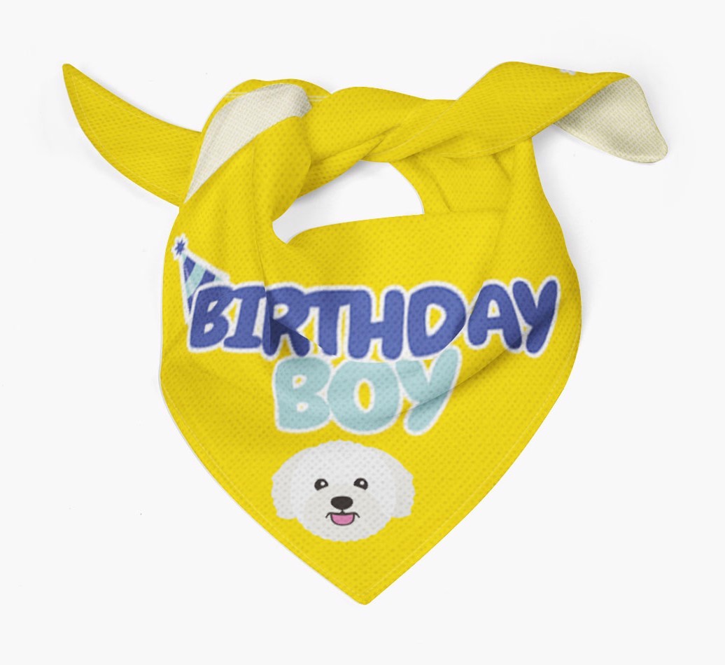Birthday Boy : Personalized {breedFullName} Bandana