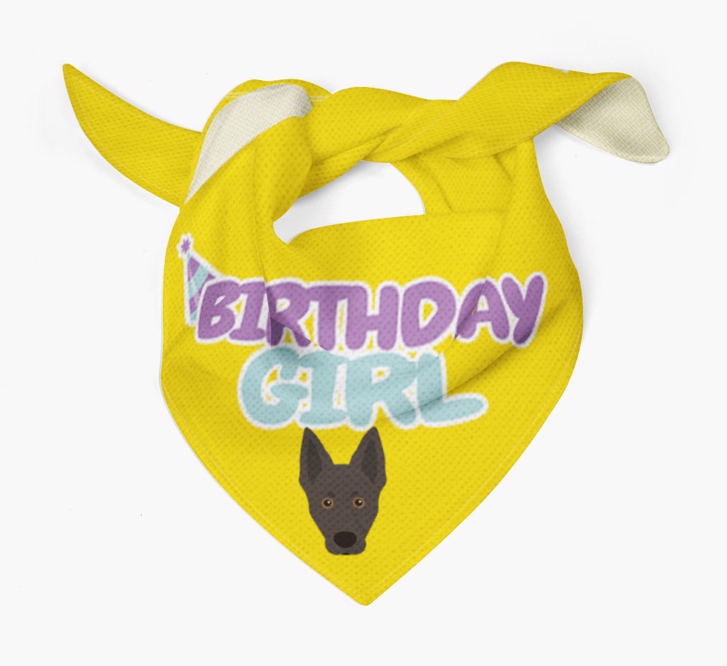 Birthday Girl : Personalised {breedFullName} Bandana 