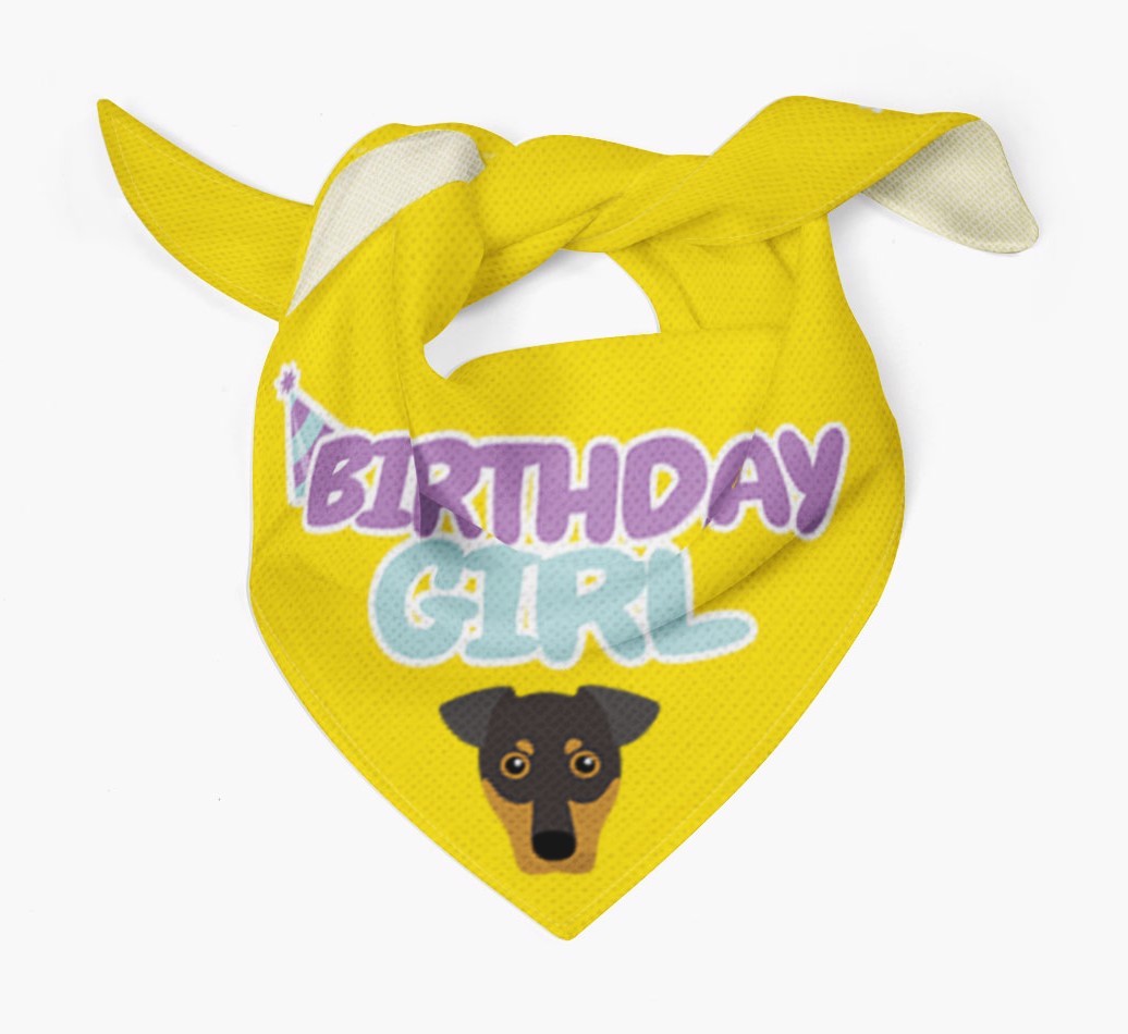 Birthday Girl : Personalised {breedFullName} Bandana 