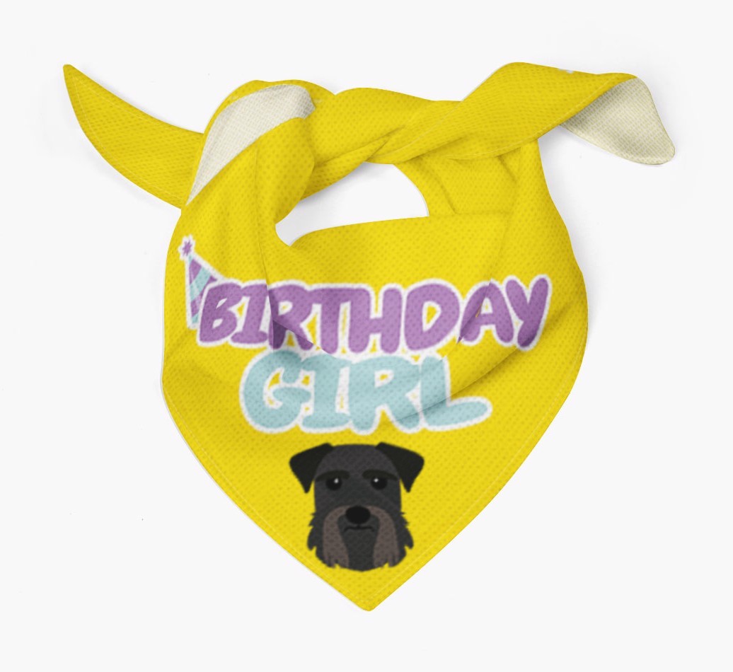 Birthday Girl : Personalised {breedFullName} Bandana 