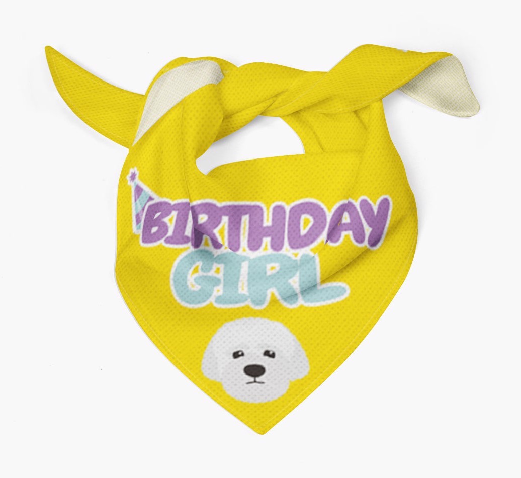 Birthday Girl : Personalised {breedFullName} Bandana 
