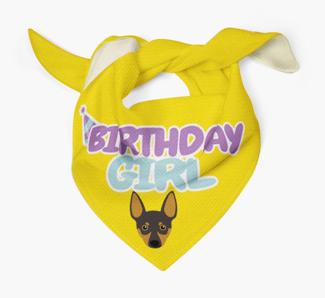 Birthday Girl : Personalised {breedFullName} Bandana 