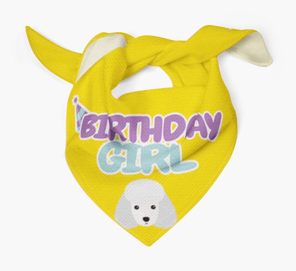 Birthday Girl : Personalised {breedFullName} Bandana 