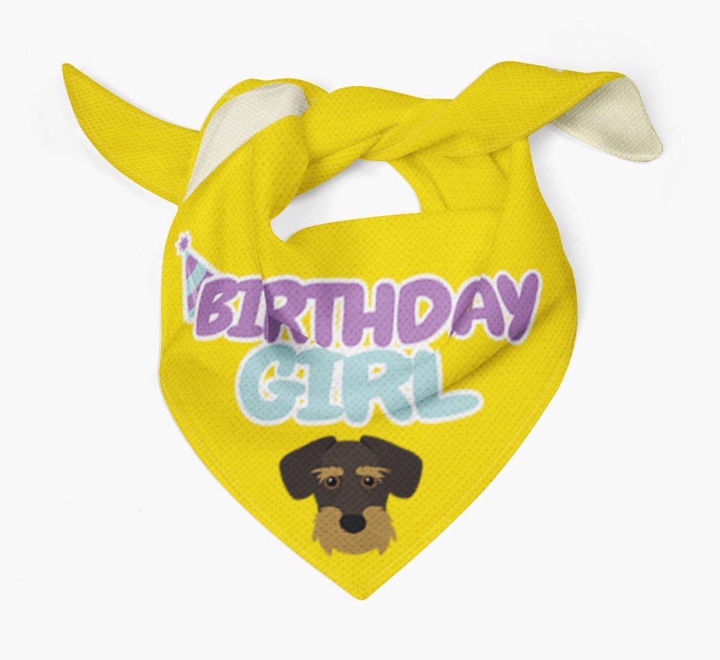 Birthday Girl : Personalised {breedFullName} Bandana 