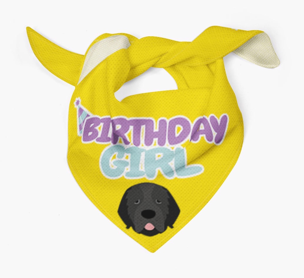 Birthday Girl : Personalised {breedFullName} Bandana 