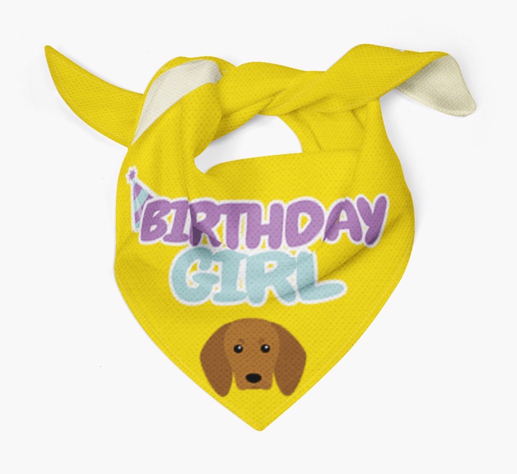 Birthday Girl : Personalised {breedFullName} Bandana 