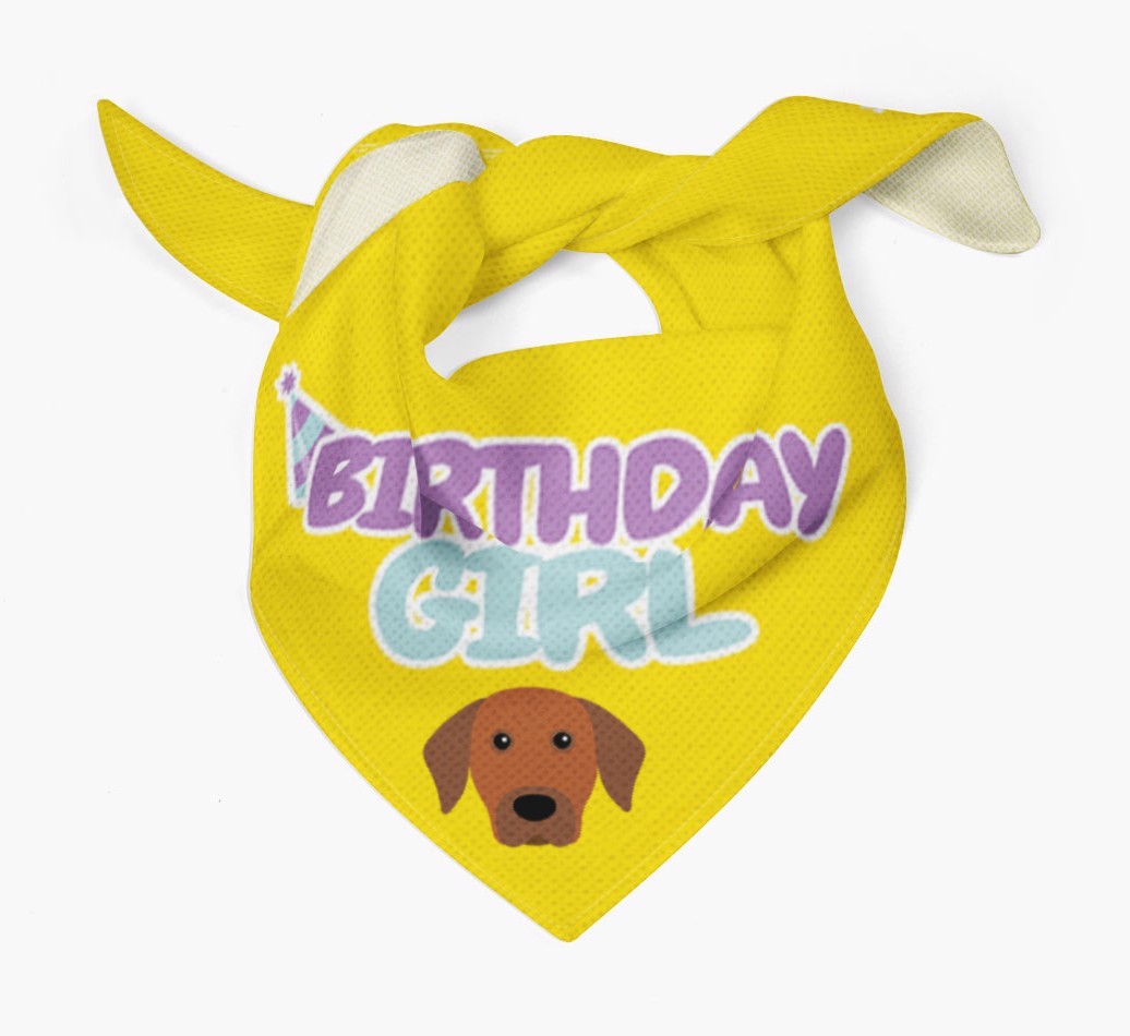 Birthday Girl : Personalised {breedFullName} Bandana 