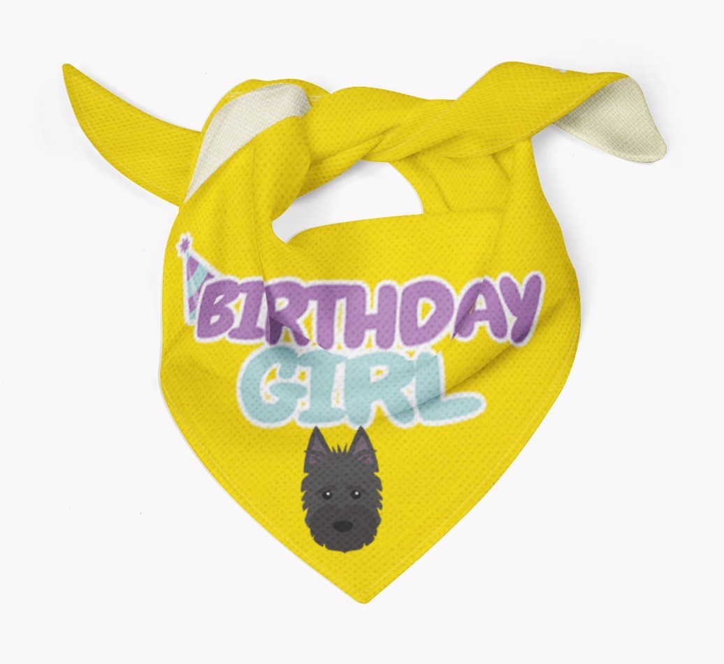Birthday Girl : Personalised {breedFullName} Bandana 